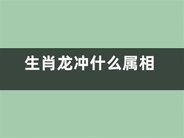 生肖龙冲什么属相 