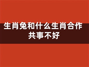 生肖兔和什么生肖合作共事不好