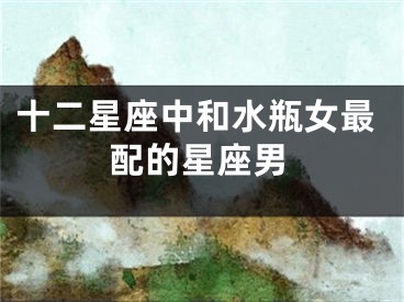 十二星座中和水瓶女最配的星座男