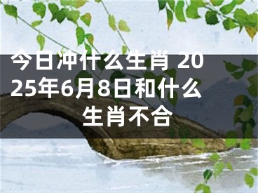 今日冲什么生肖 2025年6月8日和什么生肖不合