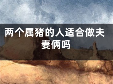 两个属猪的人适合做夫妻俩吗