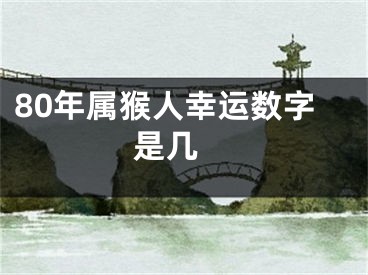 80年属猴人幸运数字是几 