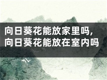 向日葵花能放家里吗,向日葵花能放在室内吗