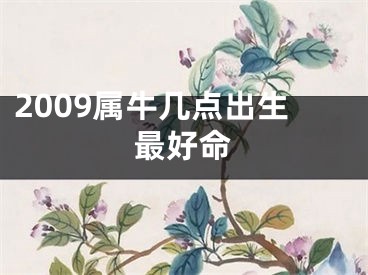 2009属牛几点出生最好命