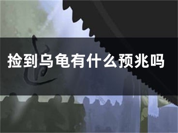 捡到乌龟有什么预兆吗