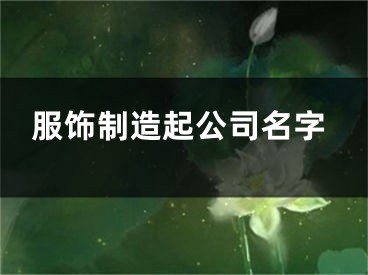 服饰制造起公司名字