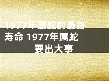 1977年属蛇的最终寿命 1977年属蛇要出大事