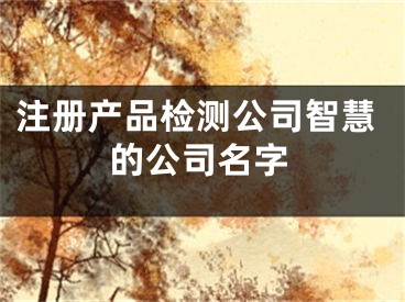 注册产品检测公司智慧的公司名字