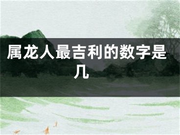 属龙人最吉利的数字是几 