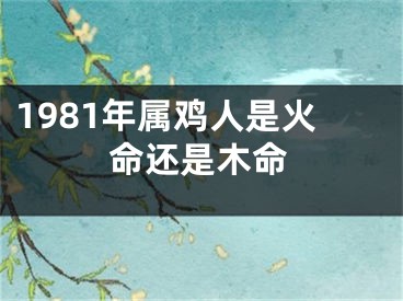 1981年属鸡人是火命还是木命