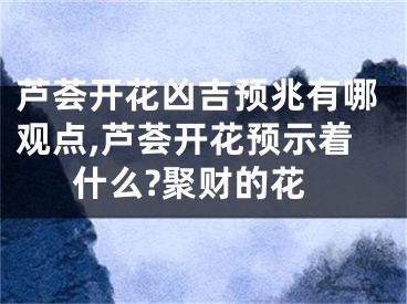 芦荟开花凶吉预兆有哪观点,芦荟开花预示着什么?聚财的花