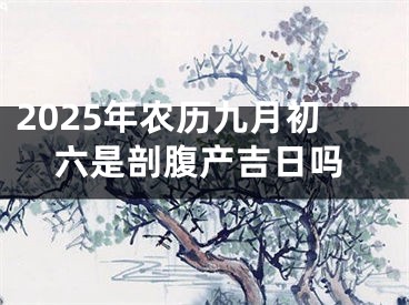 2025年农历九月初六是剖腹产吉日吗