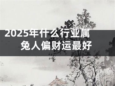 2025年什么行业属兔人偏财运最好