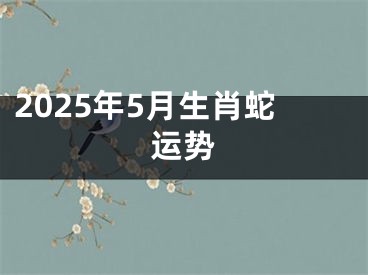 2025年5月生肖蛇运势