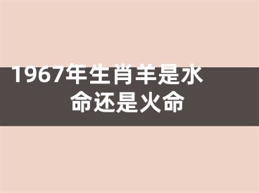 1967年生肖羊是水命还是火命