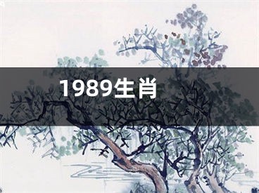 1989生肖