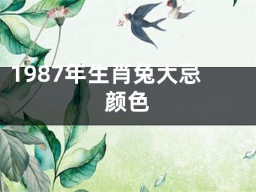 1987年生肖兔大忌颜色