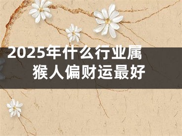 2025年什么行业属猴人偏财运最好