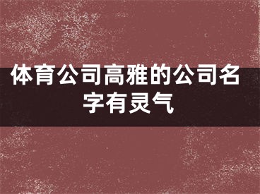 体育公司高雅的公司名字有灵气
