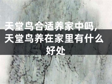 天堂鸟合适养家中吗,天堂鸟养在家里有什么好处