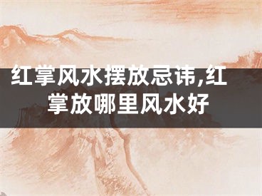 红掌风水摆放忌讳,红掌放哪里风水好