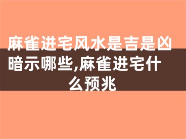 麻雀进宅风水是吉是凶暗示哪些,麻雀进宅什么预兆