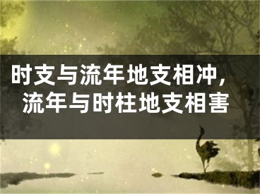 时支与流年地支相冲,流年与时柱地支相害