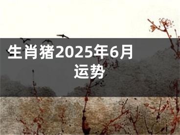 生肖猪2025年6月运势