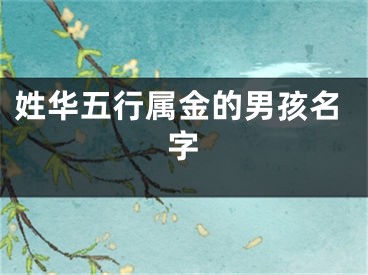 姓华五行属金的男孩名字