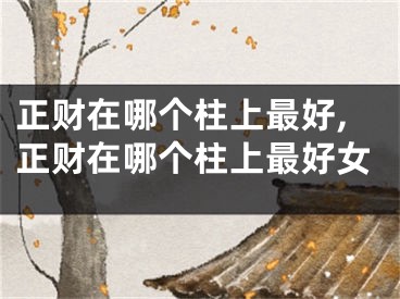 正财在哪个柱上最好,正财在哪个柱上最好女