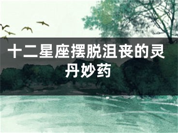 十二星座摆脱沮丧的灵丹妙药