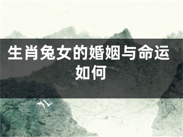 生肖兔女的婚姻与命运如何