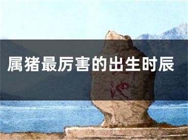 属猪最厉害的出生时辰