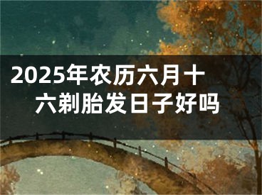 2025年农历六月十六剃胎发日子好吗