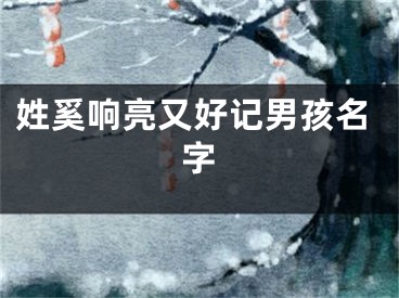 姓奚响亮又好记男孩名字