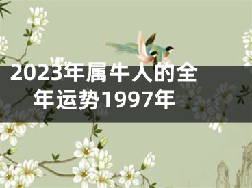 2023年属牛人的全年运势1997年
