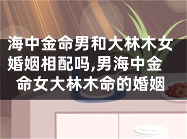 海中金命男和大林木女婚姻相配吗,男海中金命女大林木命的婚姻
