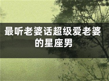 最听老婆话超级爱老婆的星座男