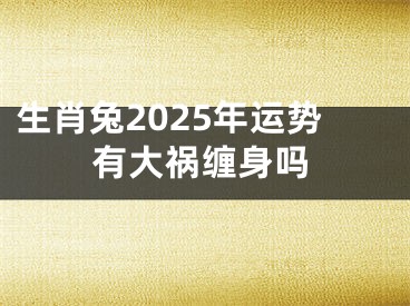 生肖兔2025年运势有大祸缠身吗