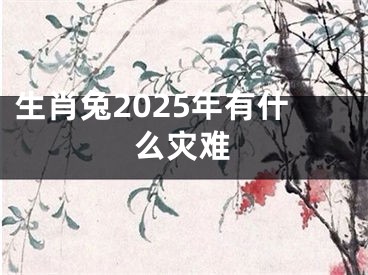 生肖兔2025年有什么灾难