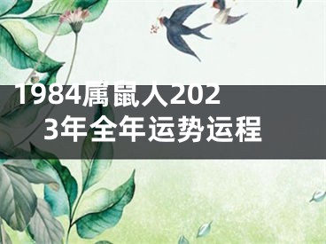 1984属鼠人2023年全年运势运程