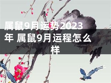 属鼠9月运势2023年 属鼠9月运程怎么样