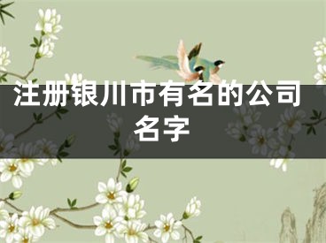 注册银川市有名的公司名字