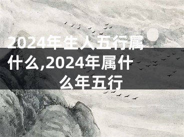 2024年生人五行属什么,2024年属什么年五行