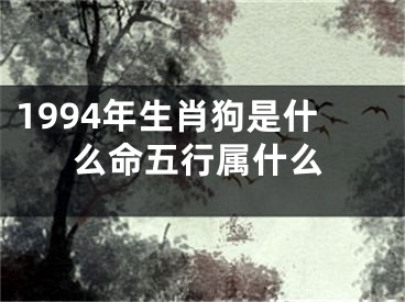 1994年生肖狗是什么命五行属什么