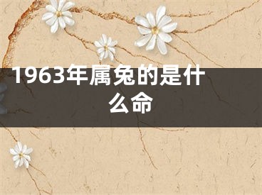 1963年属兔的是什么命