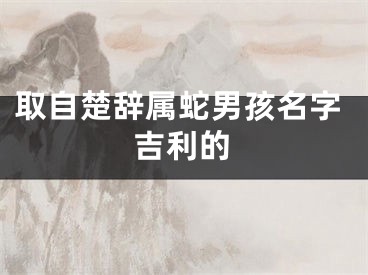 取自楚辞属蛇男孩名字吉利的
