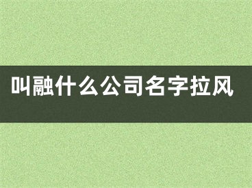 叫融什么公司名字拉风