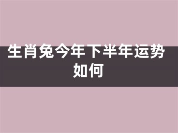 生肖兔今年下半年运势如何