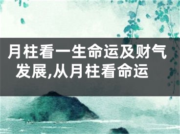 月柱看一生命运及财气发展,从月柱看命运